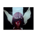 BDS ANGEL FLAG